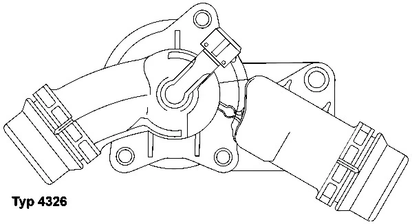Thermostat, coolant